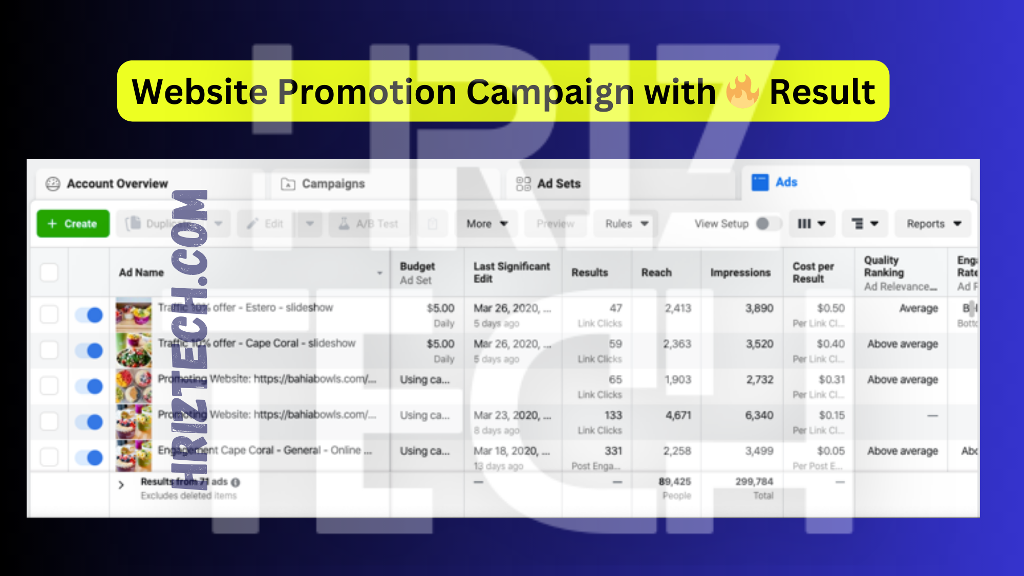Website Promotion Campaign 1