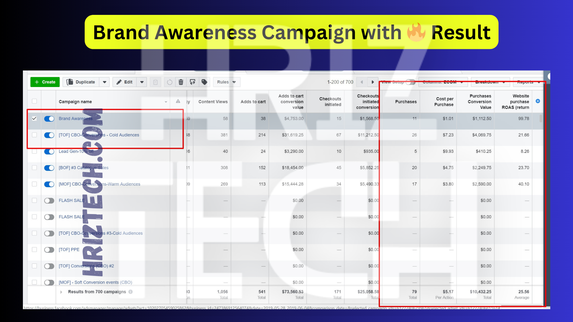 Website Promotion Campaign 1